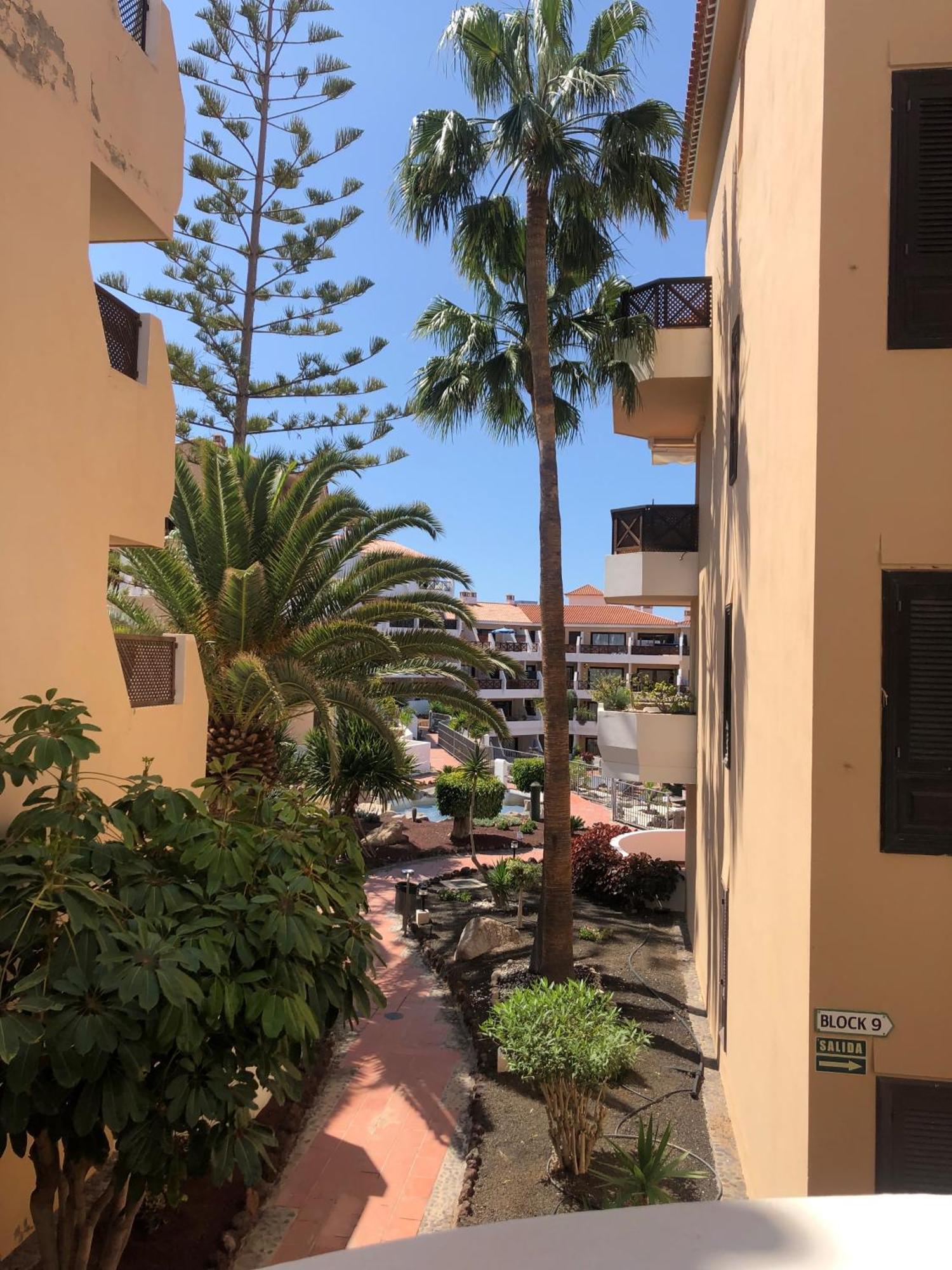 Apartamento Albatros Golf Del Sur Apt 257 San Miguel de Abona Dış mekan fotoğraf
